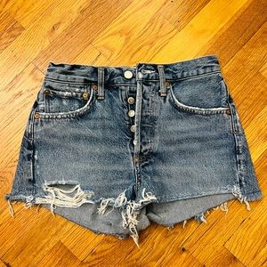 Agolde Vintage Parker Loose Fit Shorts